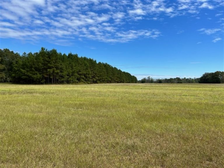 80 Acre Multi-Use Farm – $440,000 – Sold