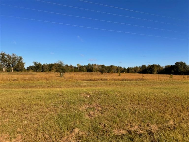 39.34 Acres Close to City Limits – $299,000 -Sold