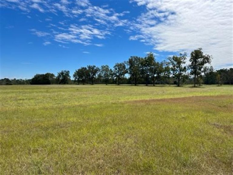 79.28 Acre Multi-Use Farm – $425,000 – Sold