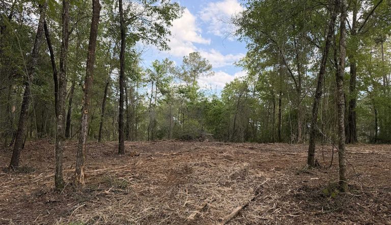 Lake Life on Booster Club Road – $40,000 – SOLD